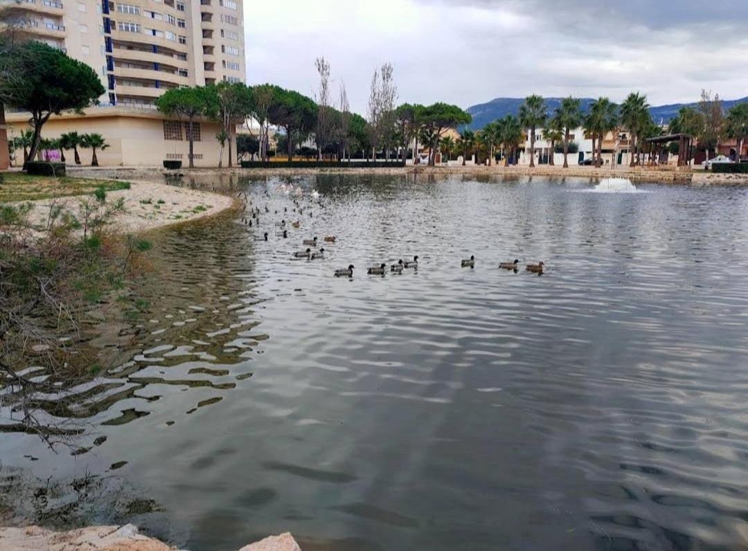 Arena Y Mar Apartment ตาแบร์เนส เด ไวล์ดิกนา ภายนอก รูปภาพ
